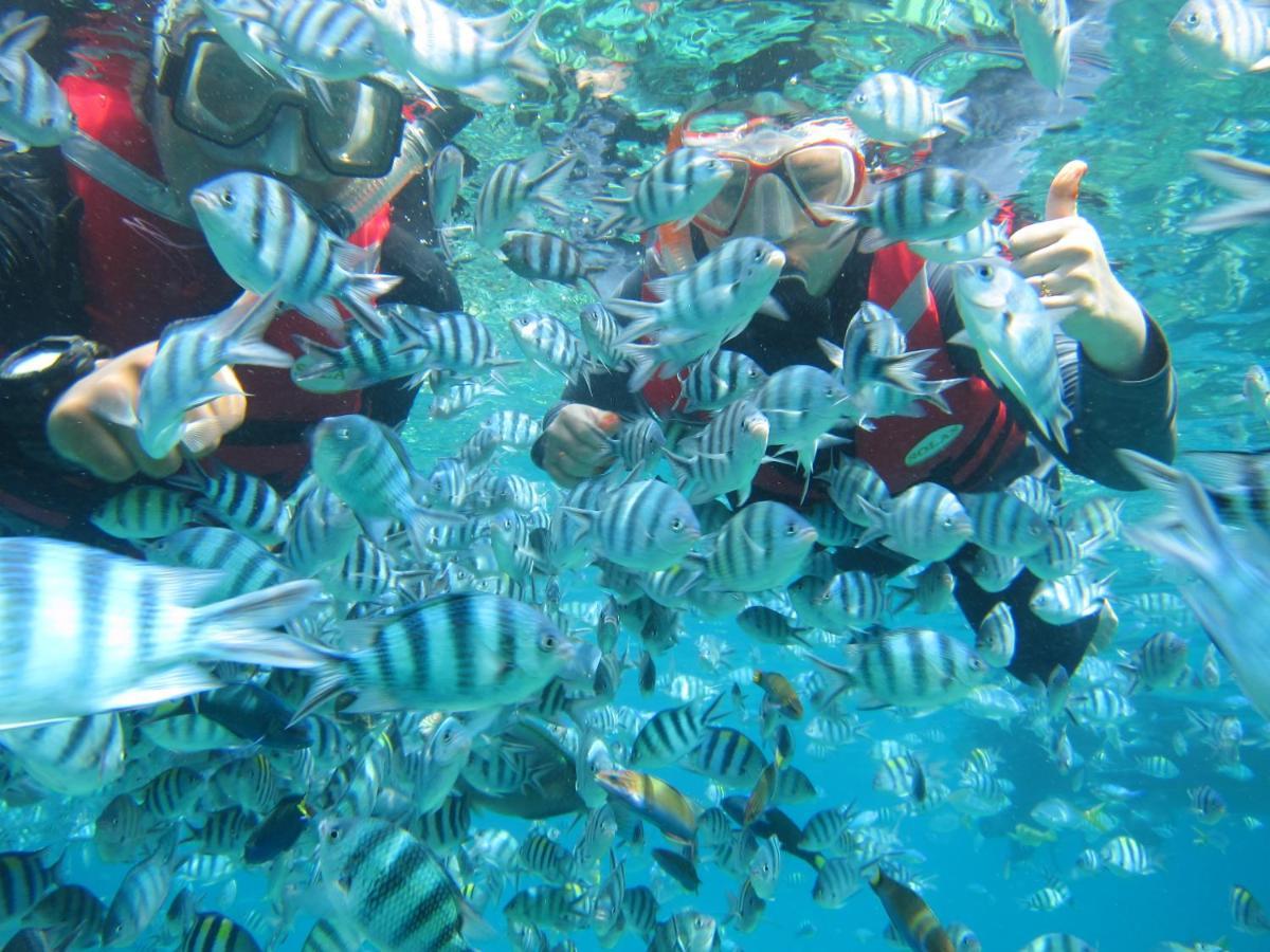 Hotel Go Deeper Tioman Zewnętrze zdjęcie